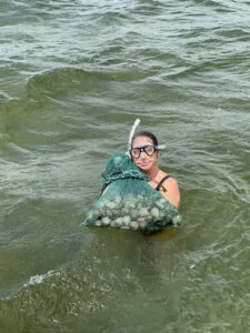 Scalloping in Florida